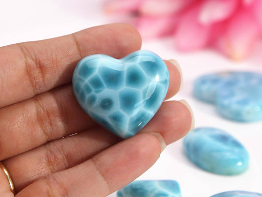 Larimar Heart, Delfina